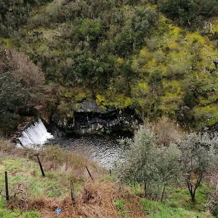 Casa Do Avo Alvaro - Refugio Do Rei Casal do Rei  ภายนอก รูปภาพ